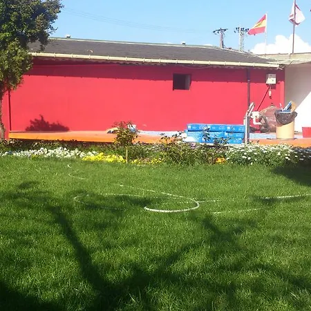 Penguen 伊斯坦布尔