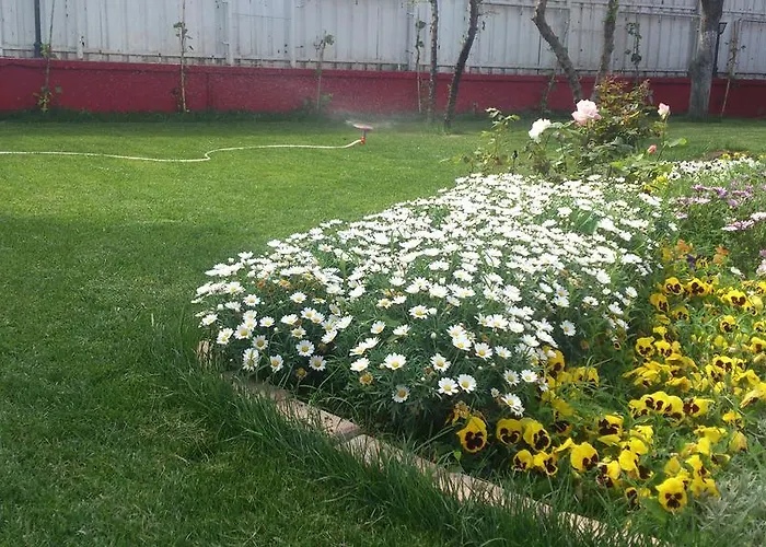 فندق The Penguen