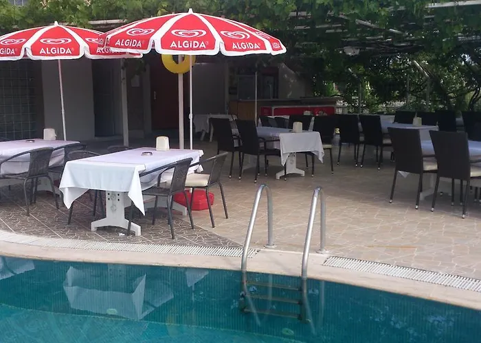 Hotel Penguen Stambuł