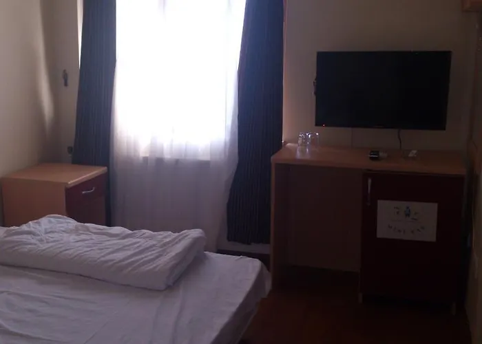 The Penguen اسطنبول