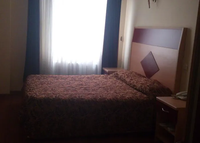 Hotel Penguen Stambuł