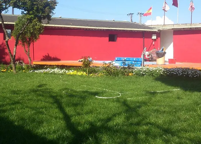 Penguen Provincia di Istanbul